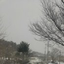 베로니카네집 이미지