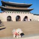 한류투어 이미지