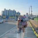 순국열사 추모길 | 삼일절 천안 가볼만한곳 유관순열사 생가 기념관 병천순대거리