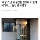 장수중학교 | 서울 웨딩스냅 추천 ‘카멩찌’, 내돈내산 후기