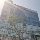 분홍빛으로병원 이미지