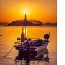 사궁두미 이미지