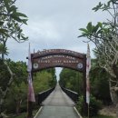 거북이게임장 | 마나도 부나켄 아이와 스노클링 현지 가이드와 함께 한 환상적인 바다 여행