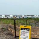 샌드시아 이미지