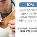 연제종합동물병원 이미지