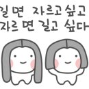 금모래미용실 네이버블로그