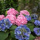 예당글로리아 이미지