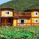 통나무집사람들 이미지