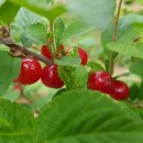 두발노래방 이미지