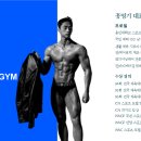 바디플랜 이미지