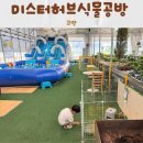 캠프즉석김밥 | 고양시 실내 아이랑 가볼만한곳 “미스터허브식물공방” 고양시 식물마켓