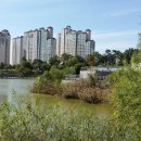 운정호수공원 이미지