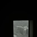 로우하이 Daum카페