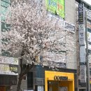 안경상회장성두호점 이미지