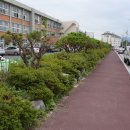 객사리 마을회관 이미지