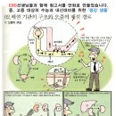 창조음악학원 이미지