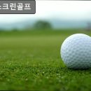 원스스크린골프 이미지