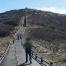 노고단-5 이미지