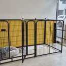 멍멍이컷 이미지