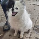 오태동물병원 이미지