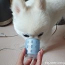 성대세탁 이미지
