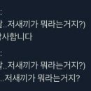 인팁