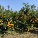 노다지PC 이미지