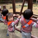 대방엘리트어린이집 이미지