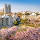 봄 - 달성군 현풍중앙로 87-1 | 봄