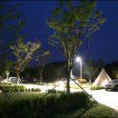 금산 자연 오토캠핑장 이미지