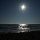 구리동해변 티스토리