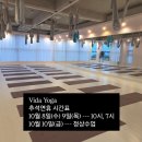 비다요가