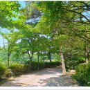 풍암호수공원 이미지