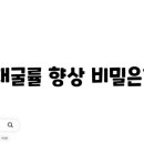 팀노드