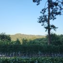 안성농장 이미지