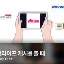 북앤라이프 캐시를 볼 때 먼저 확인해두면 좋은 기준