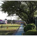 애월초등학교 이미지