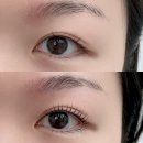이마트24 당하풍림점 | [검단신도시속눈썹펌] 폼폼속눈썹펌전문샵 3번째 방문 후기