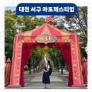 문화가 있는 날 초록마술사의 튼튼 마술여행 | 2025 대전 서구아트페스티벌 가수 주차 일정 푸드트럭