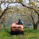 세종특별자치시농업기술센터 이미지