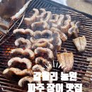 소리와 글로 피어나는 늘봄 | 파주 갈릴리 장어포장 : 장어 맛집을 집에서 즐기는 꿀팁과 후기!