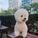 천옥탕 네이버블로그