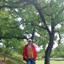 커피바람 이미지