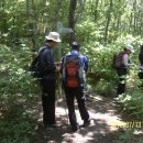 백운리 백운경로당 이미지