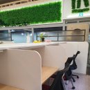 하베르스터디카페 이미지