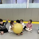 용인대 지노태권도 이미지