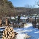 카페캐빈하우스 이미지