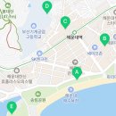 구남로 해운대시장후문 앞(11) 이미지