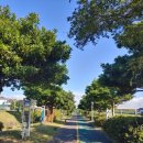 표선청년회의소 이미지