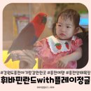 휘바핀란드위드플레이정글 | 강원도 홍천 아기랑 갈만한곳 휘바핀란드with플레이정글